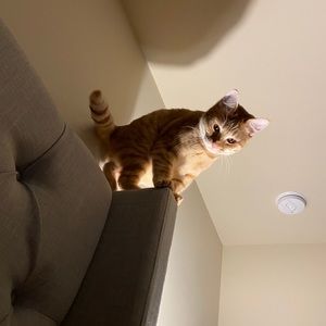 Meet your Posher, Jennifer